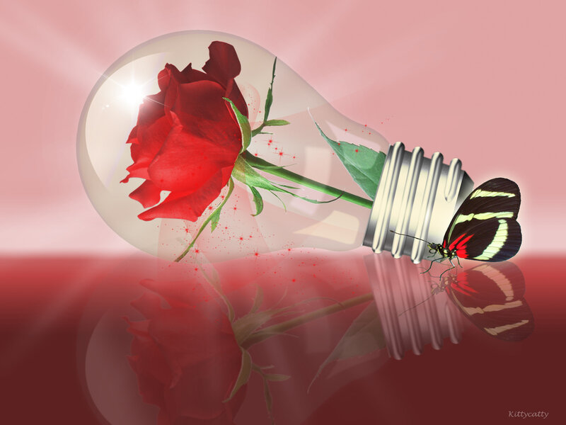 Rose in Light Bulb