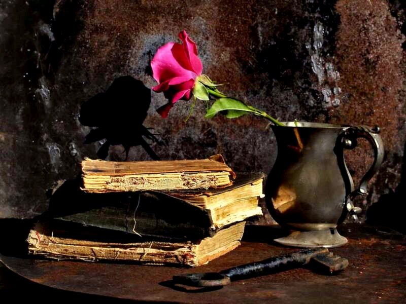 Rose in Metal Pitcher