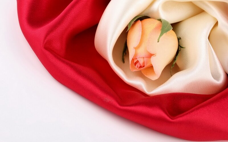Rose in Satin Fabric — Red, Serene, Photograph