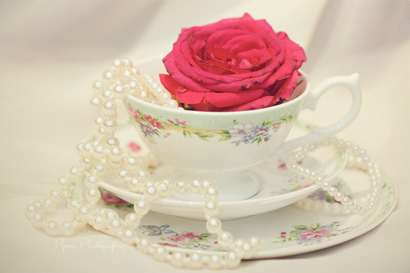 Rose in Teacup — White
