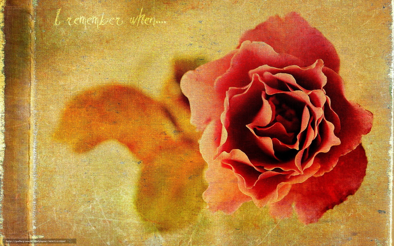 rose in vintage style