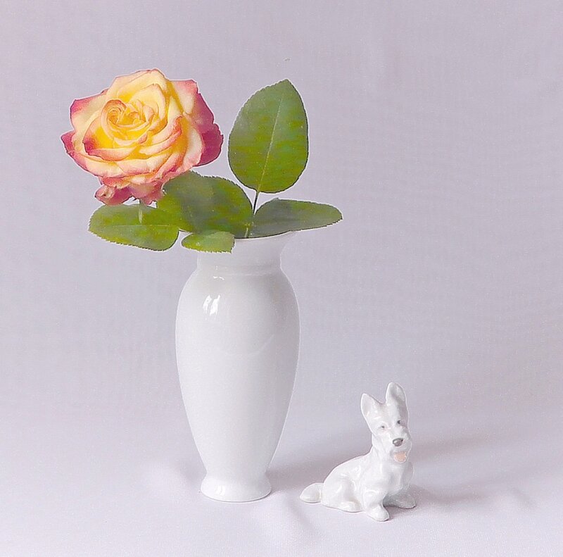 Rose in White Vase