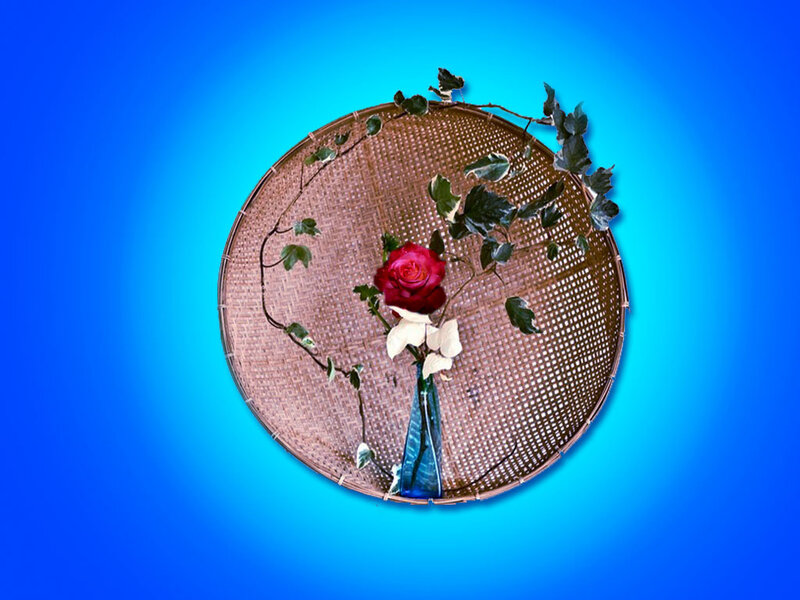Rose in Woven Basket