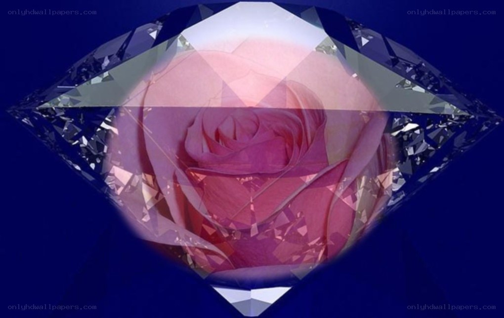 rose inside a diamond
