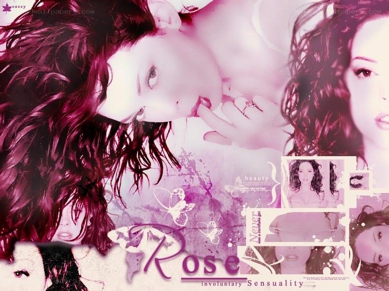 Rose: Involuntary Sensuality