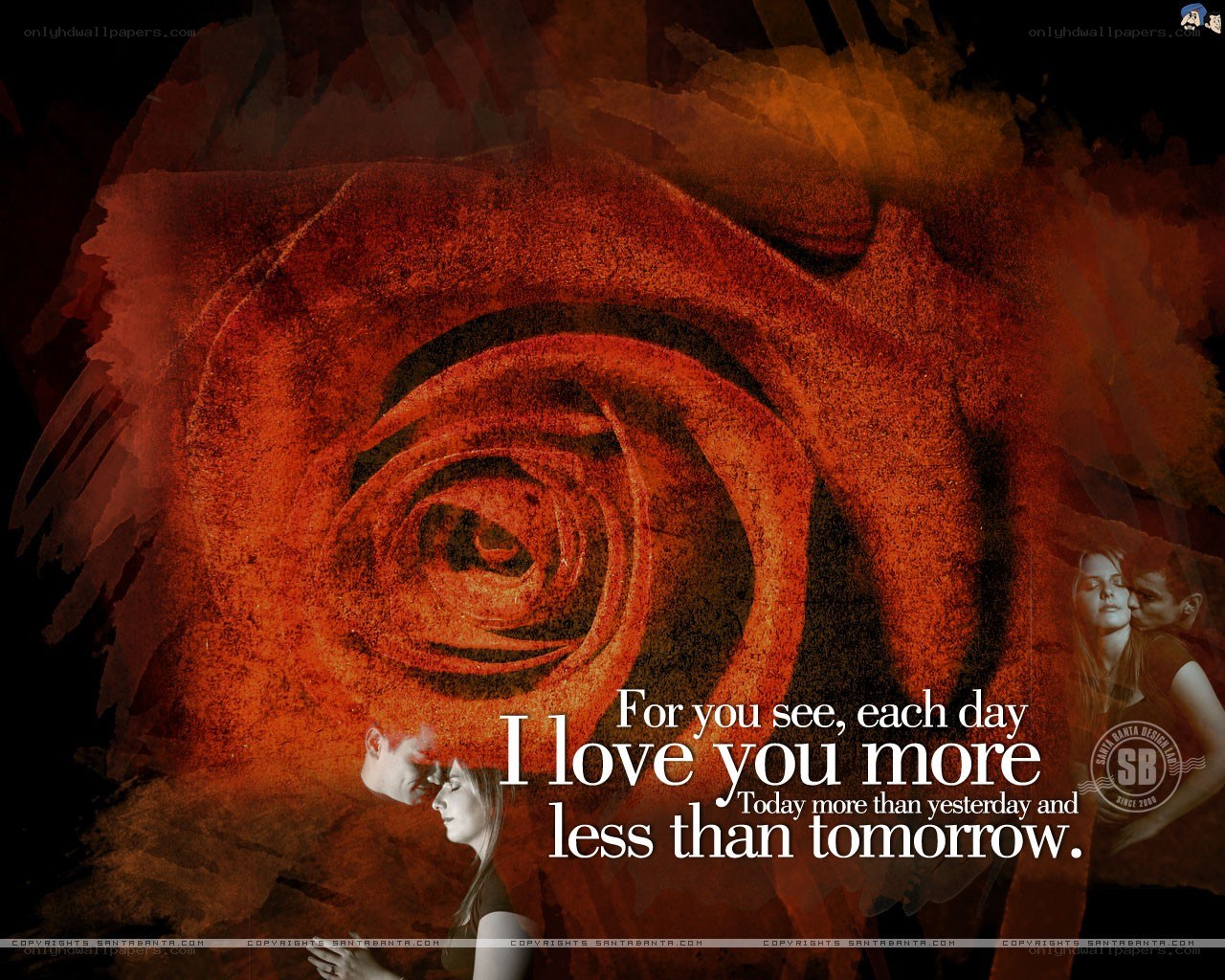 rose love quote wallpaper