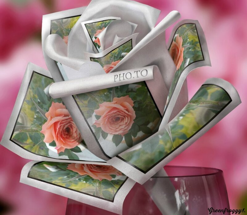 Rose Made of Photos