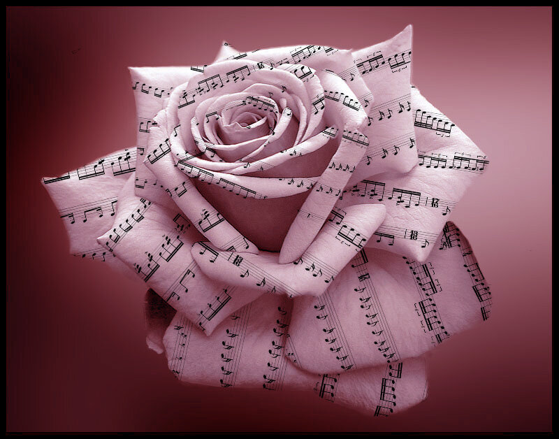 Rose Made of Sheet Music