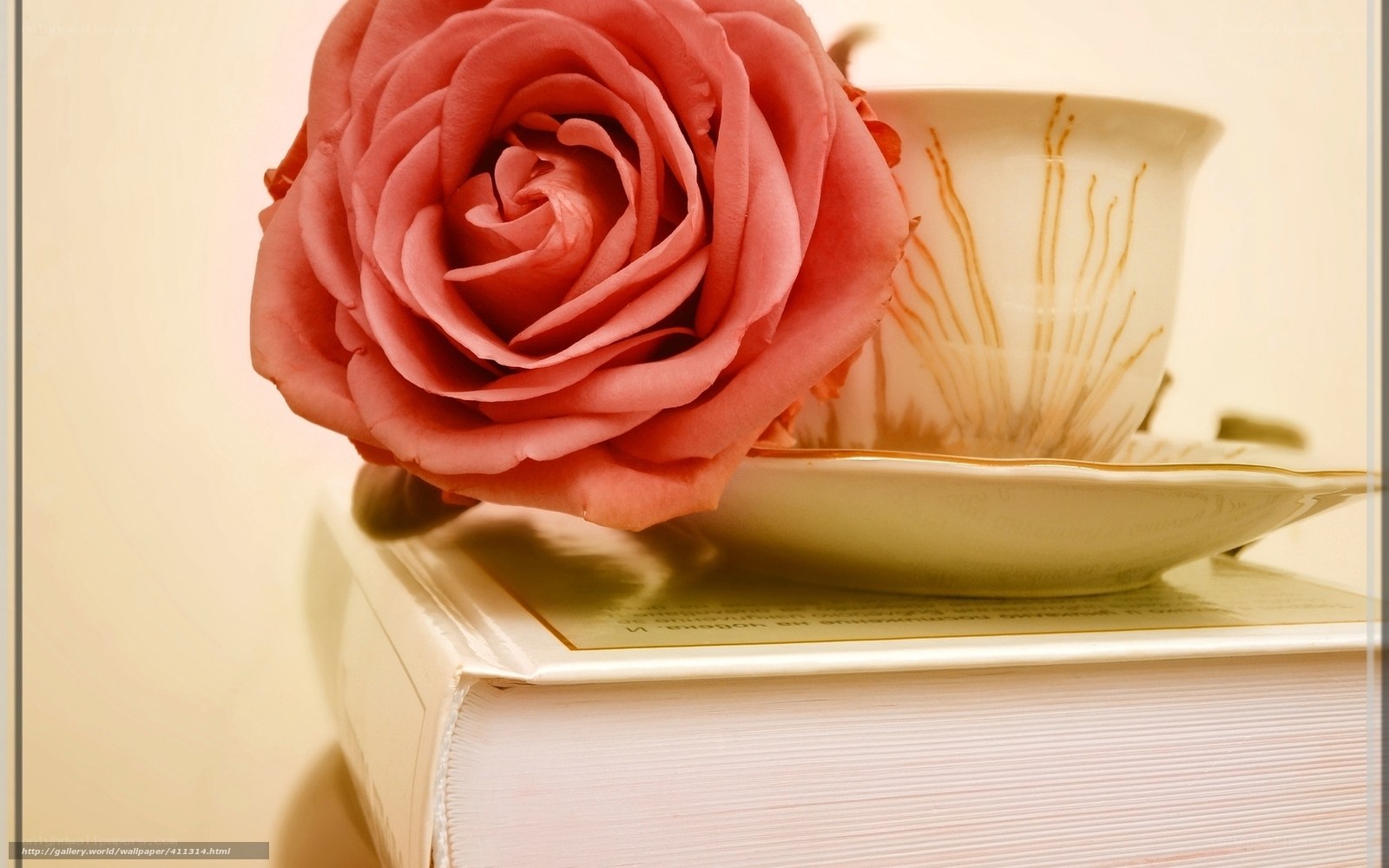 rose on a book with teacup