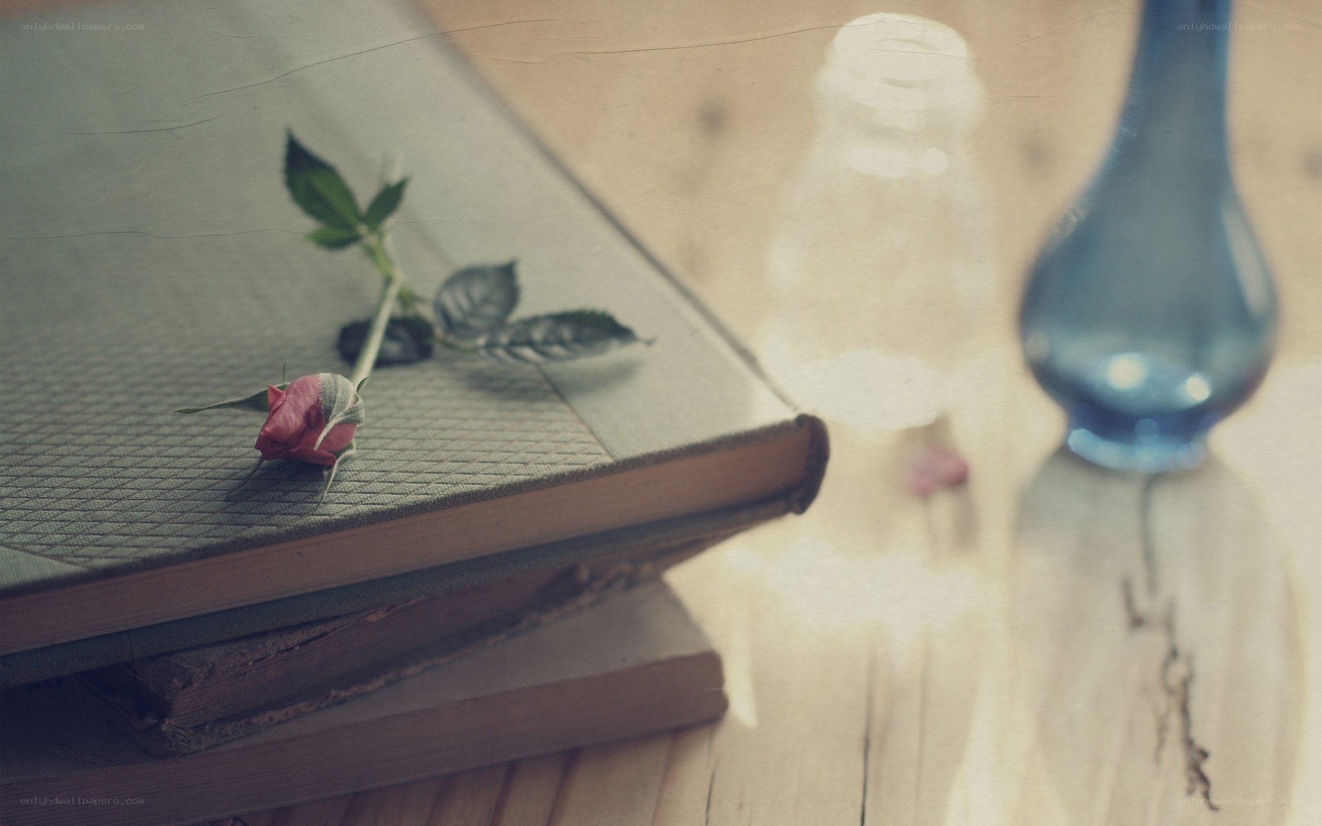 rose on a book