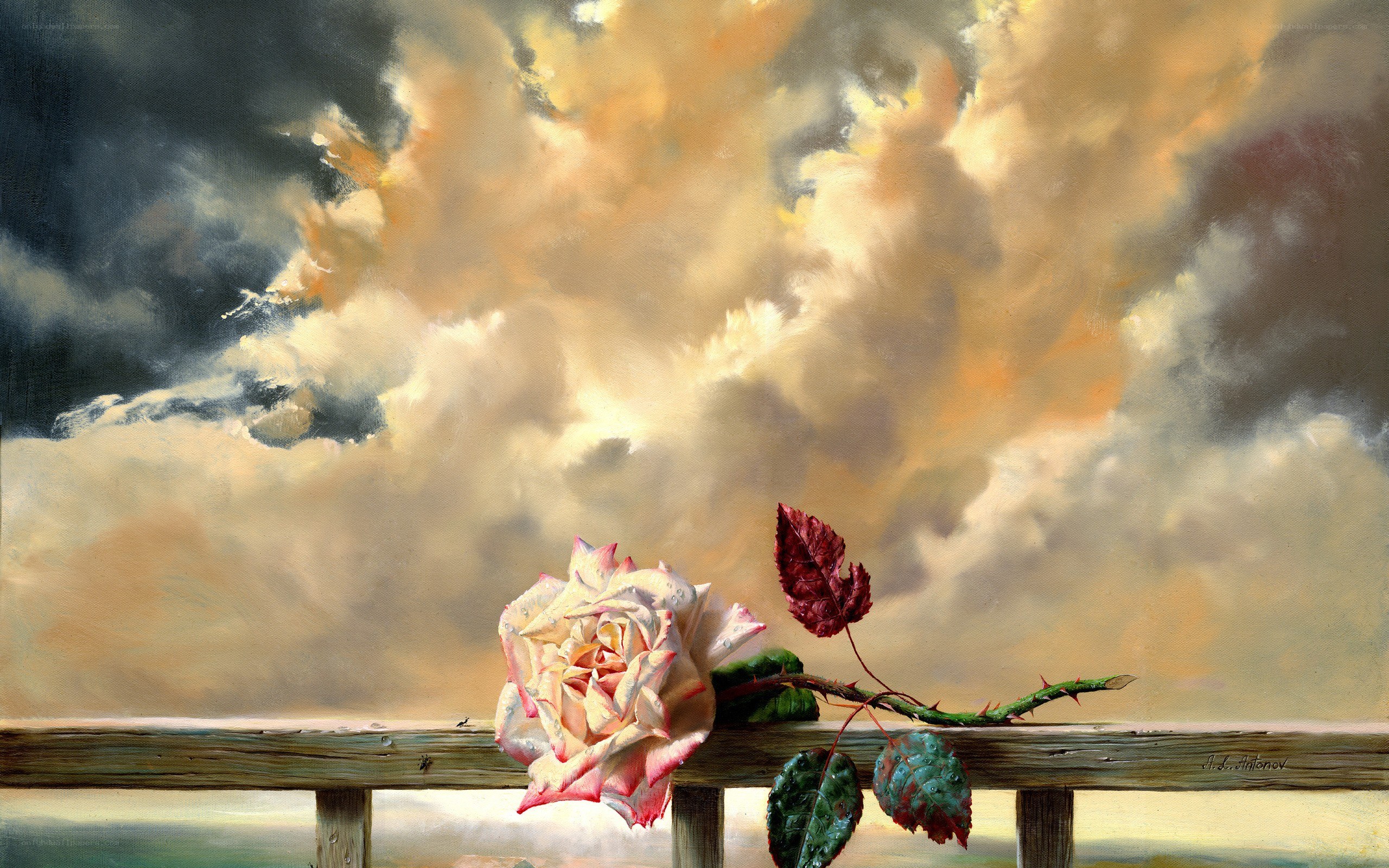 rose on a wooden railing