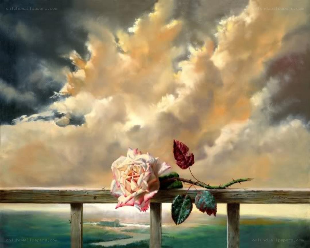rose on a wooden railing