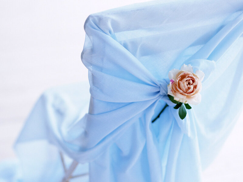 Rose on Blue Fabric