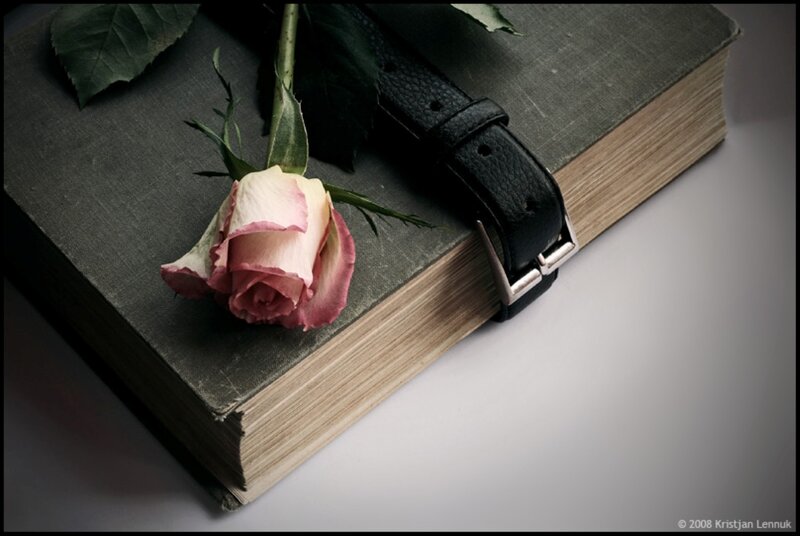 Rose on Book