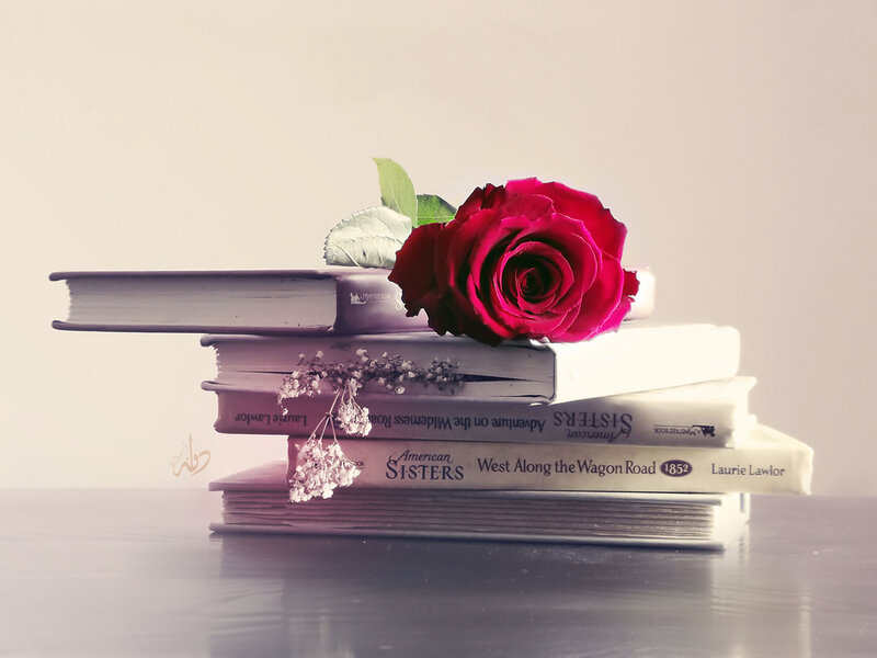 Rose on Books — Red