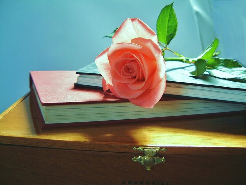 rose on books