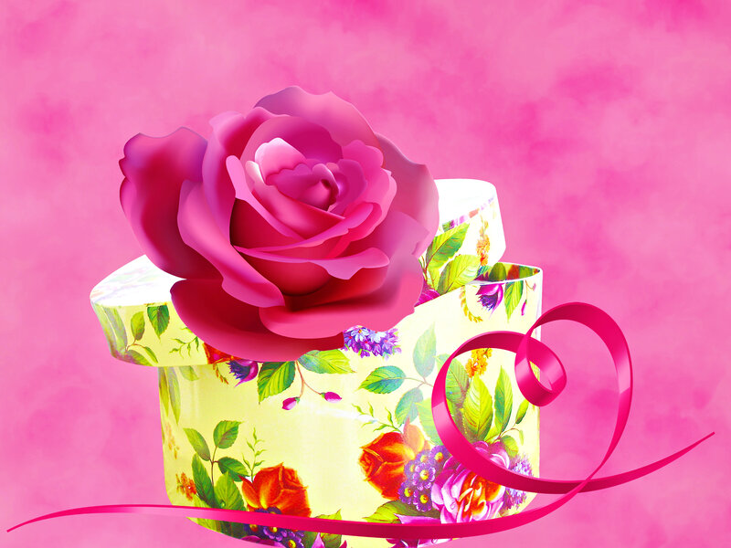 Rose on Gift Box