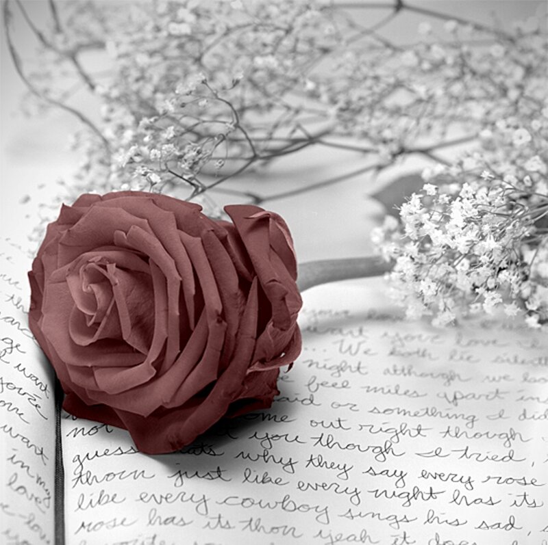 Rose on Handwritten Letter