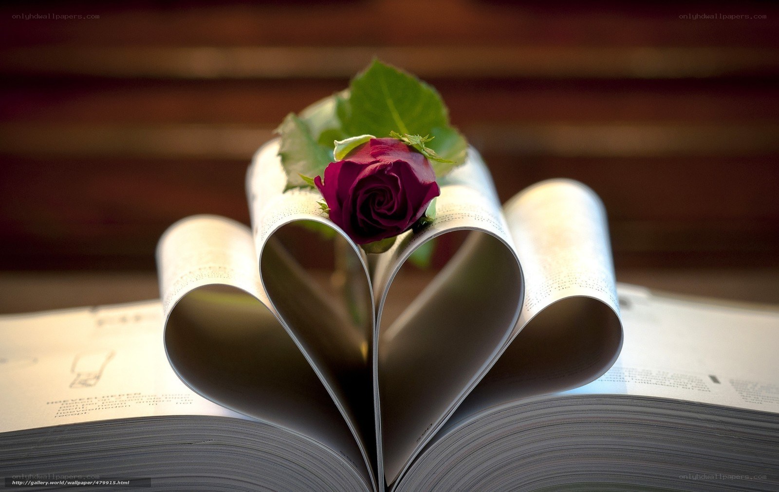 rose on heart-shaped book