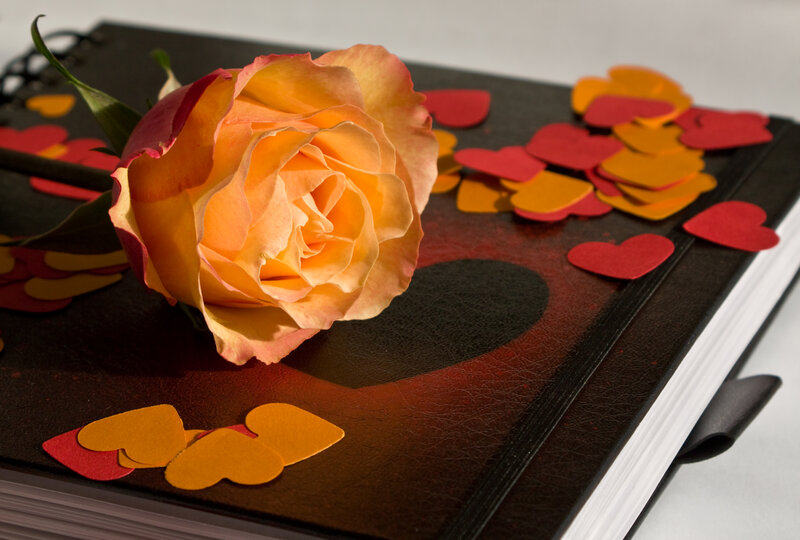 Rose on Notebook