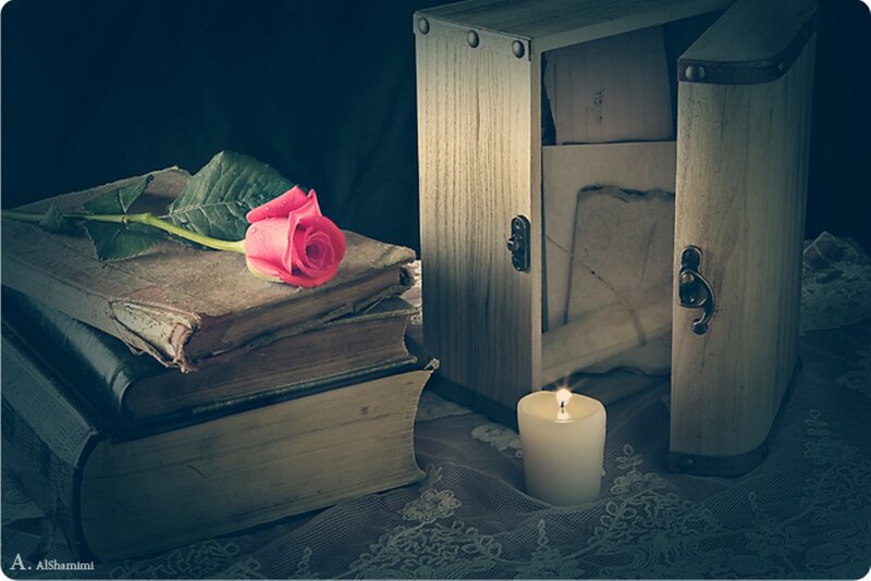 Rose on Old Books