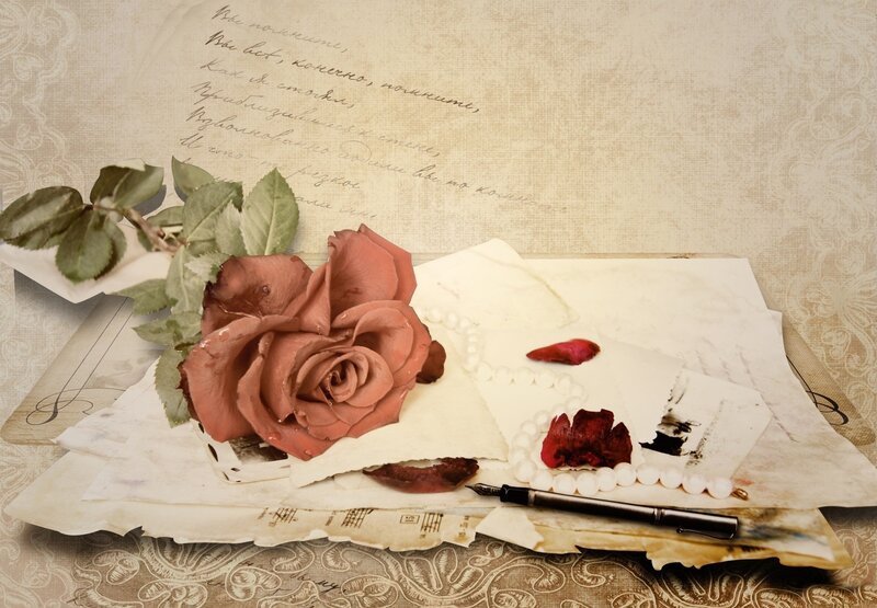 Rose on Old Papers — Brown, Nostalgic