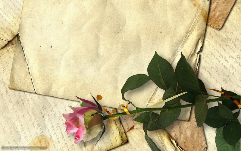 rose on old papers