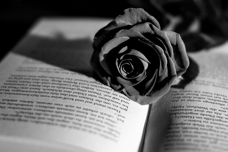 Rose on Open Book — Black