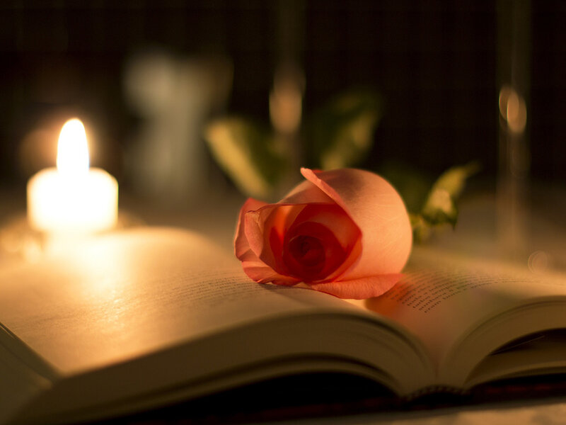 Rose on Open Book — Pink, Serene, Night, Photograph