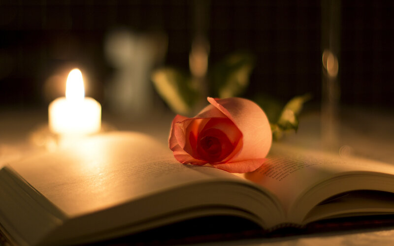 Rose on Open Book — Pink, Serene, Night