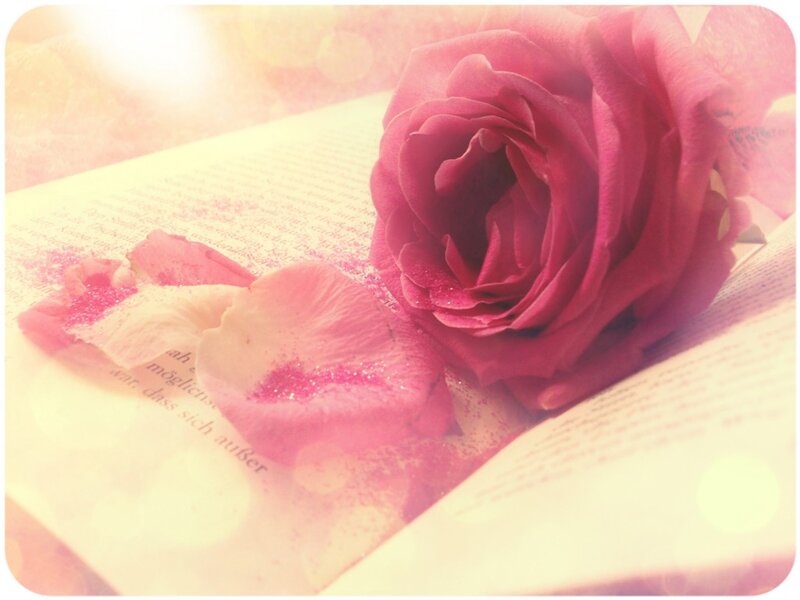 Rose on Open Book — Pink