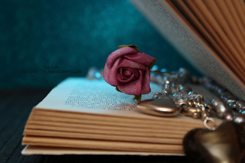 Rose on Open Book — Purple