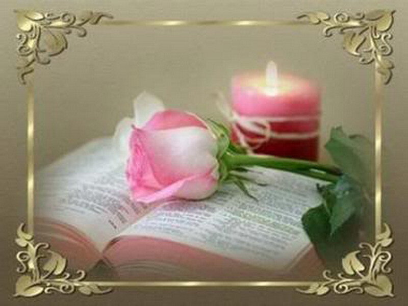rose on open book with candle