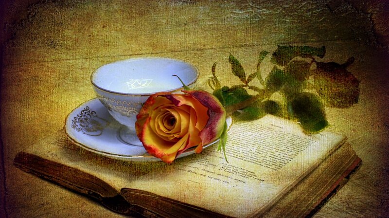 Rose on Open Book — Yellow, Serene