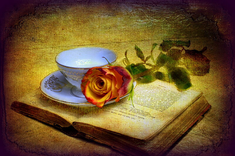 Rose on Open Book — Yellow