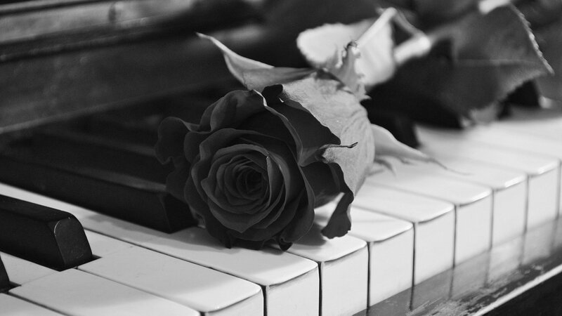 Rose on Piano Keys — Black