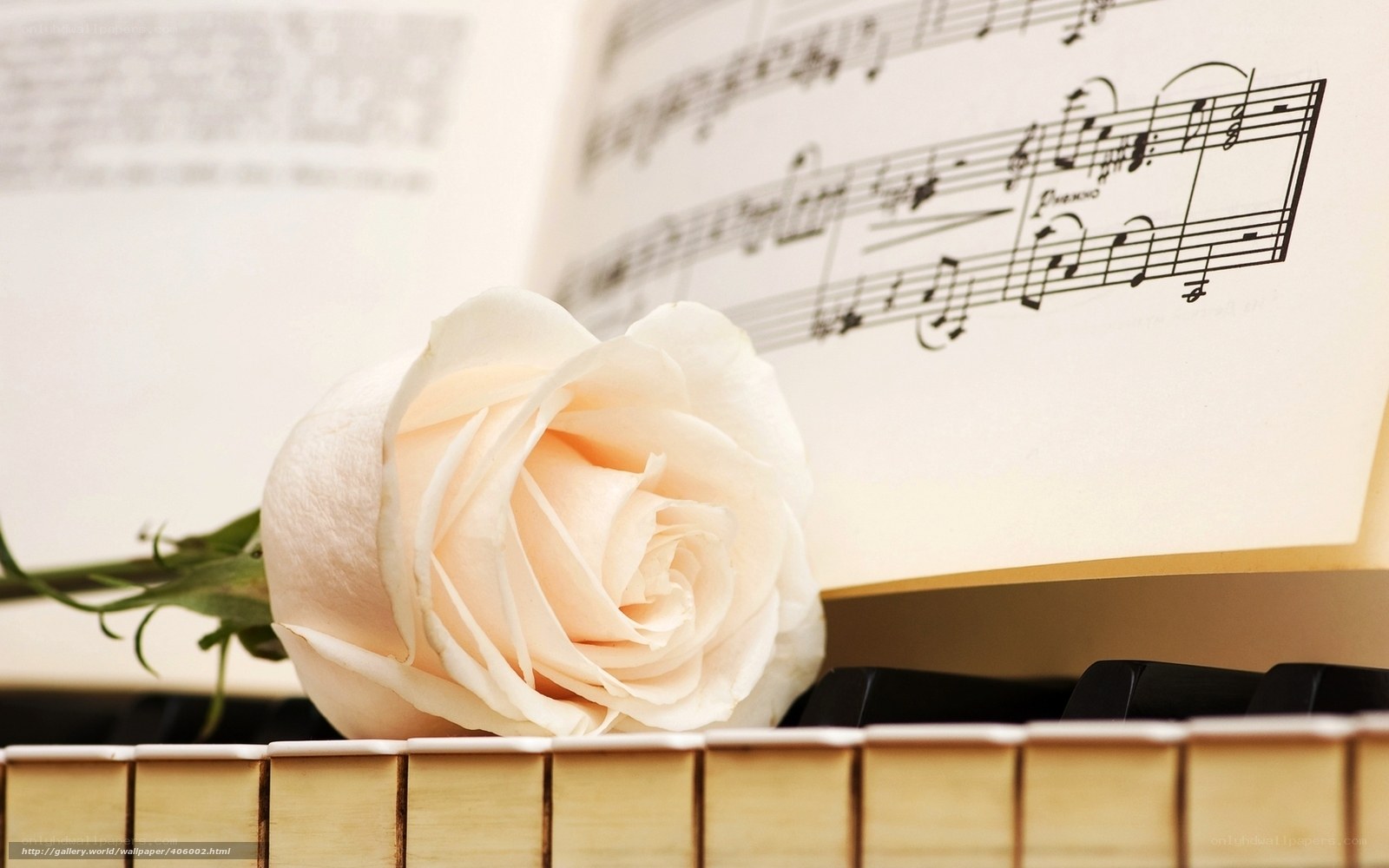 rose on piano sheet music