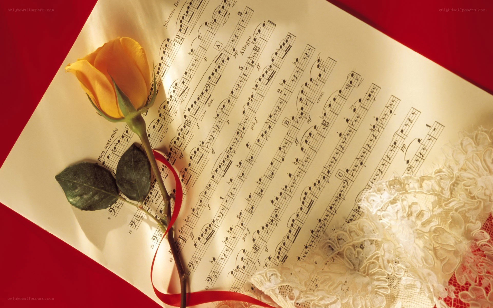 rose on sheet music