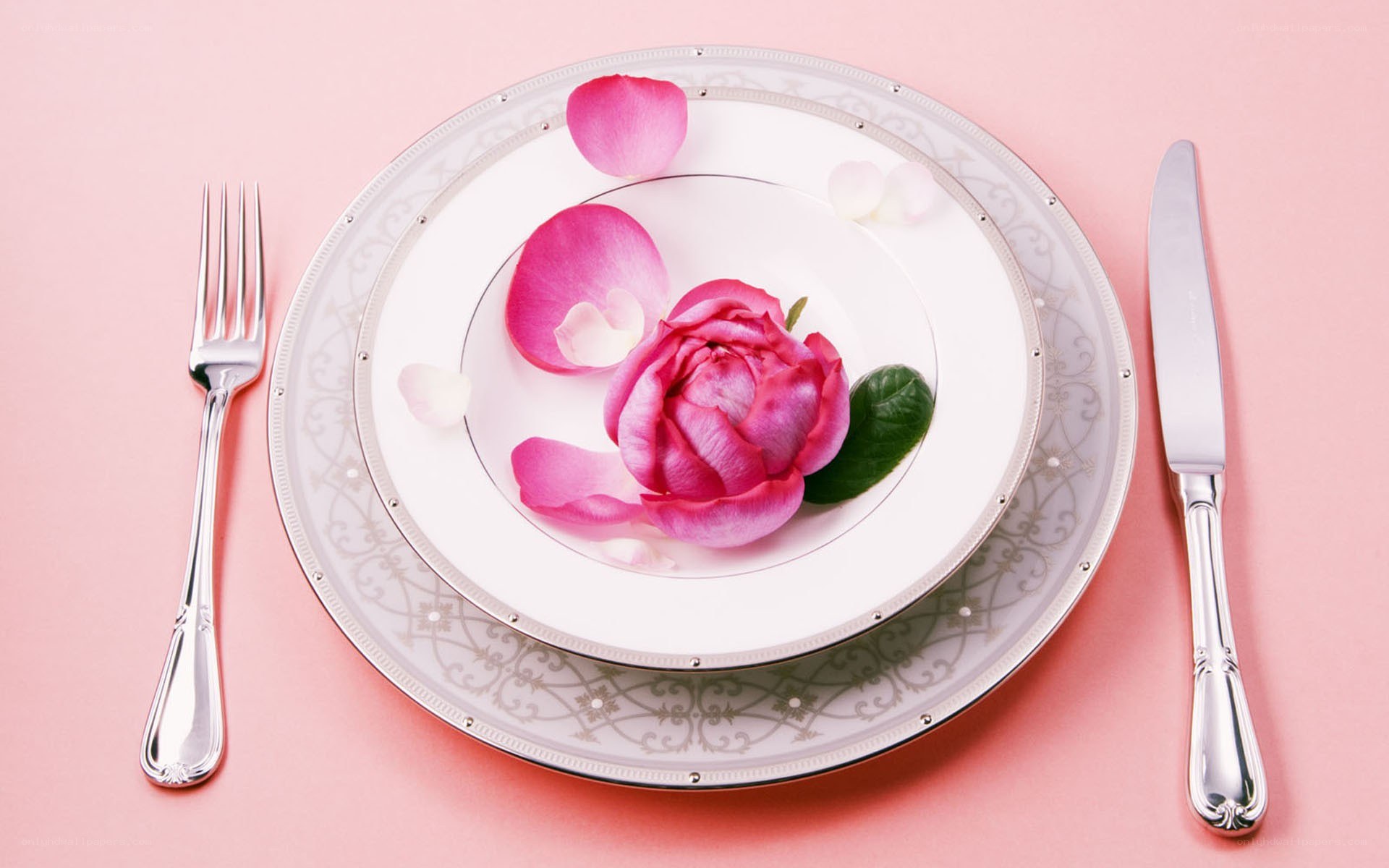 rose petal dinner setting