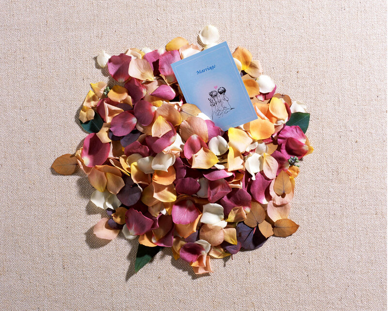 Rose Petals and Card — Pink, Calm