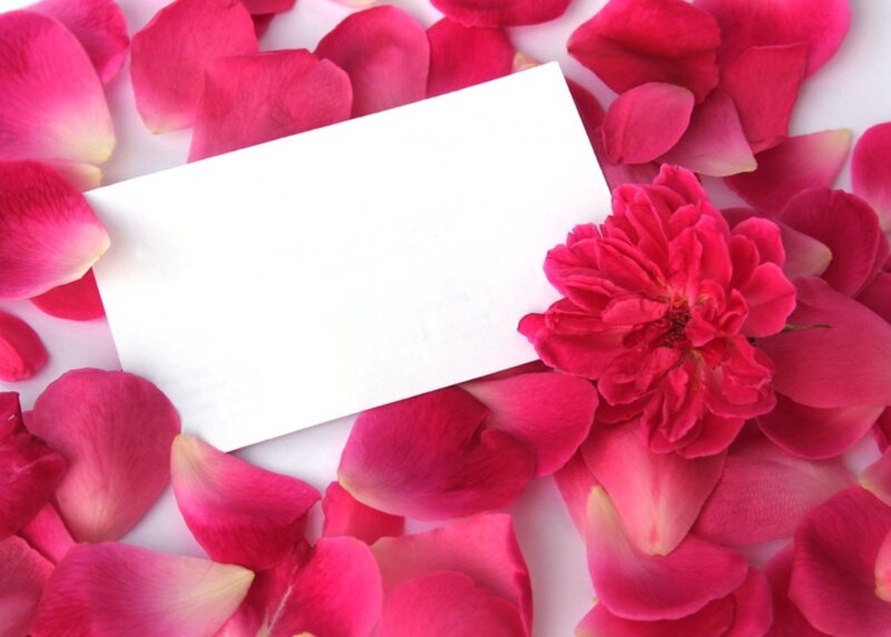 Rose Petals and Card — Pink, Romantic, Photograph