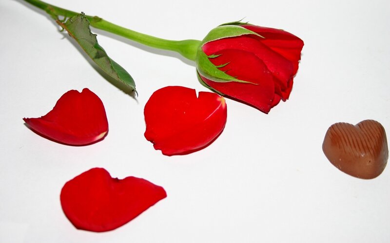 rose petals and chocolate heart