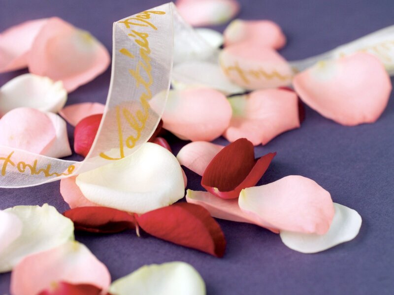 Rose Petals and Ribbon — Pink, Romantic