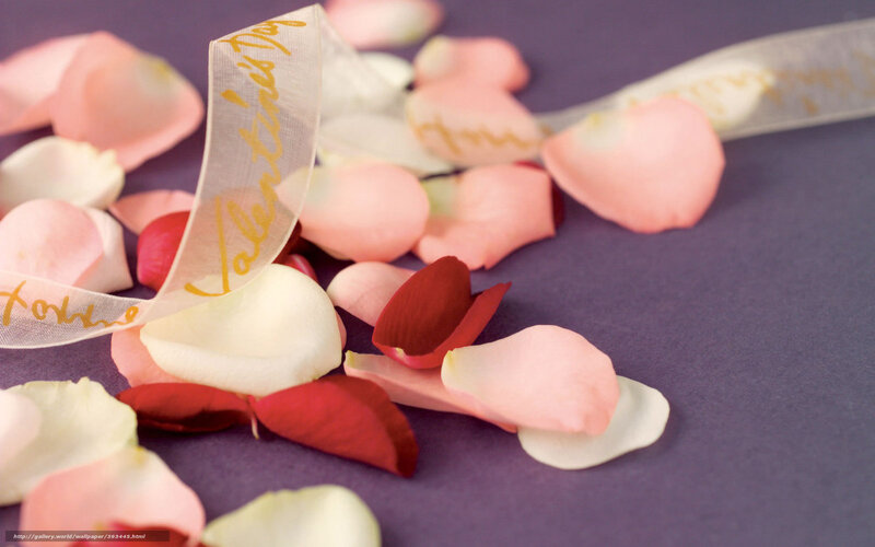 Rose Petals and Ribbon — Purple