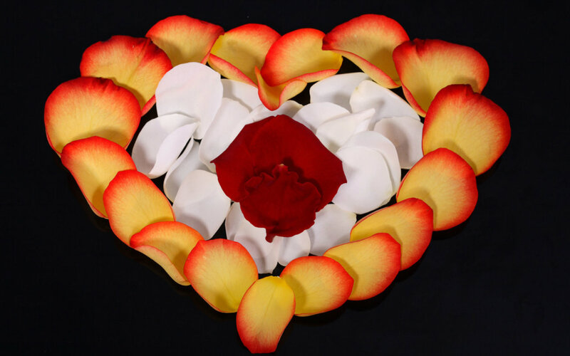 Rose Petals Arranged in Heart