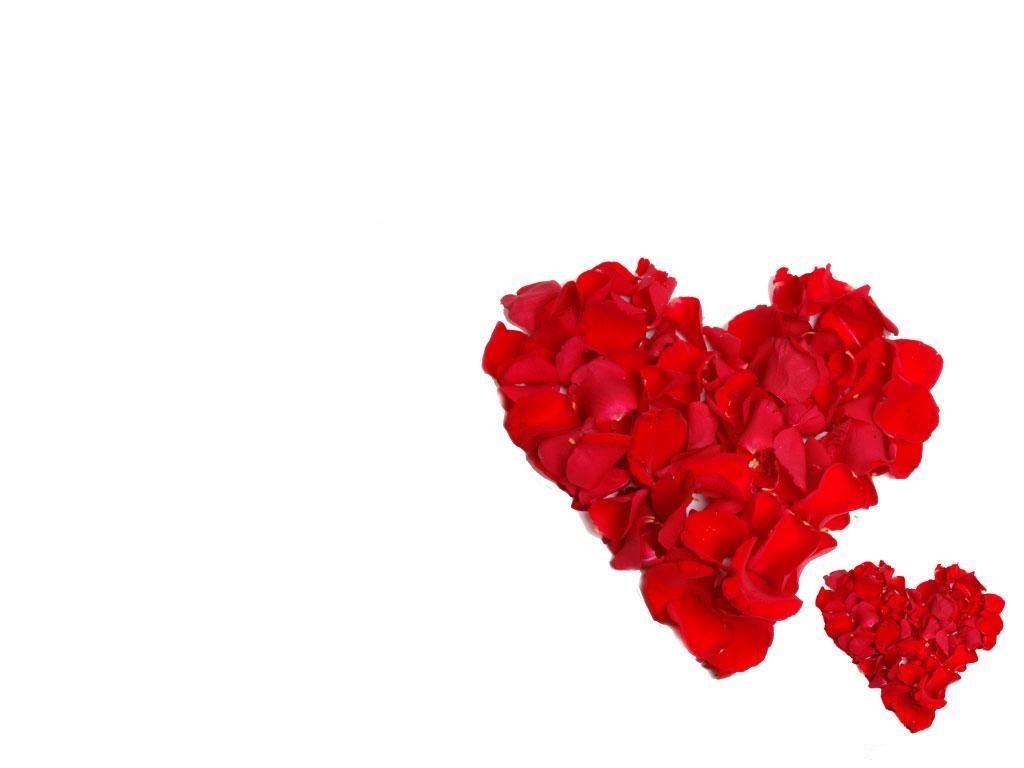 rose petals forming hearts