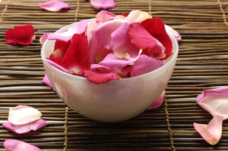Rose Petals in Bowl — Pink