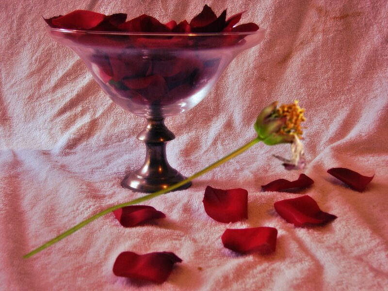 Rose Petals in Bowl — Red