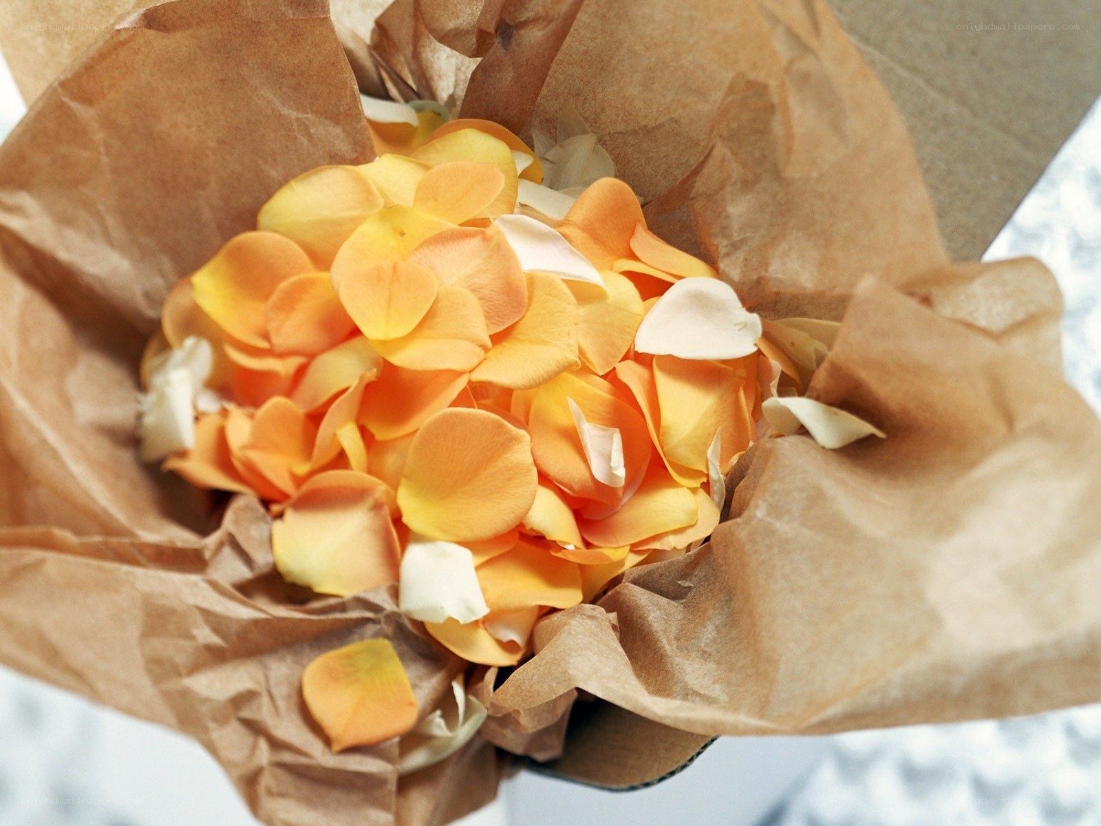 rose petals in brown paper