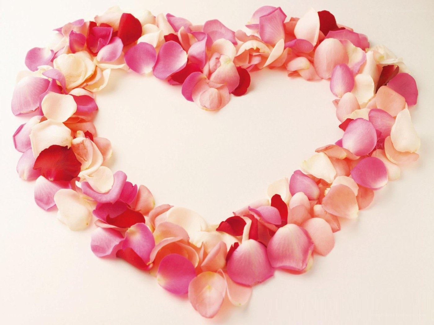 rose petals in heart shape